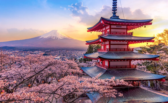 Japan Tour Package 2026 – 8N/9D Osaka, Kyoto, Tokyo | MYT Holidays